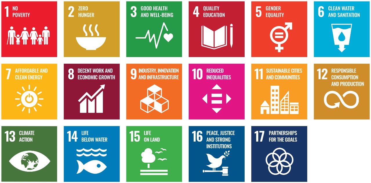 SDG Icons